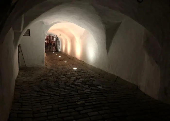 Kuninga Lägenhet Tallinn